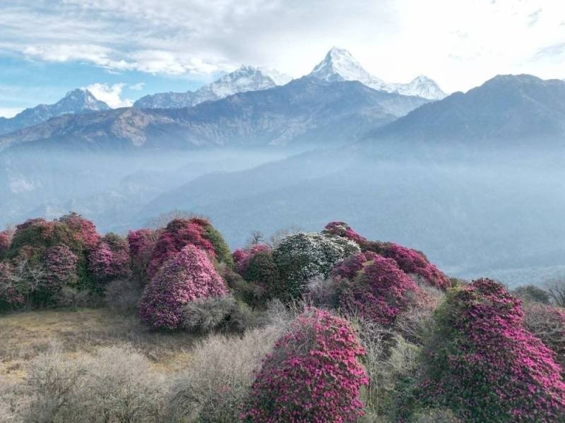 File - Annapurna Conservation Area. Photo: RSS