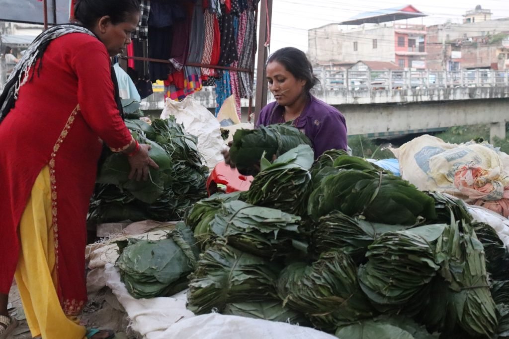 सालको पात बेचेर खर्च जुटाउँदै महिला