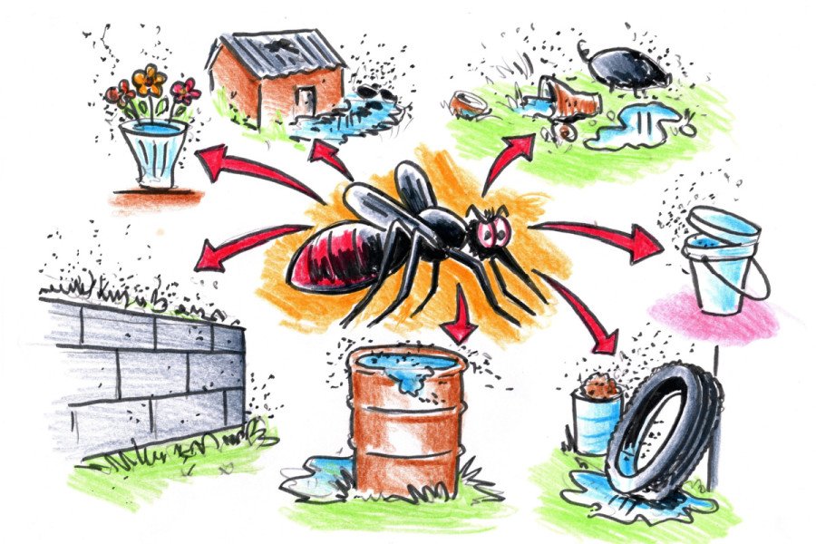 Climate change drives dengue as mosquitoes climb to new altitudes