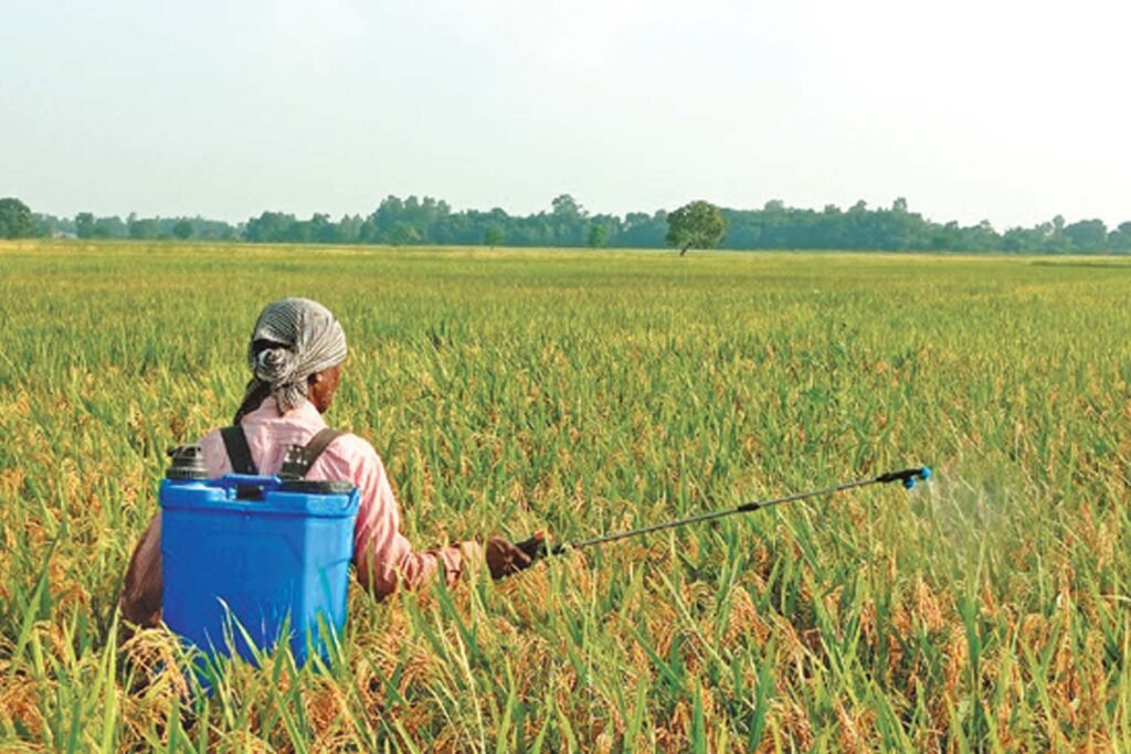 Nepal hauls historic paddy harvest amid harsh climate events